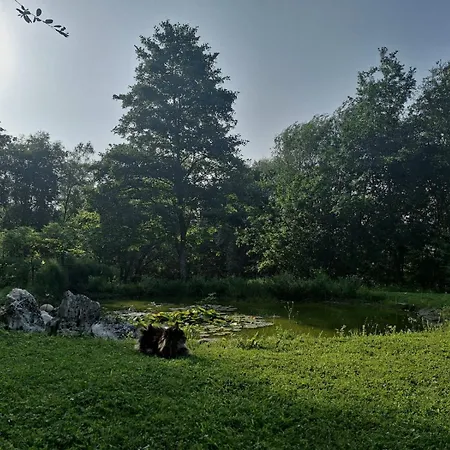 Hugoren Egoitza Zubialde