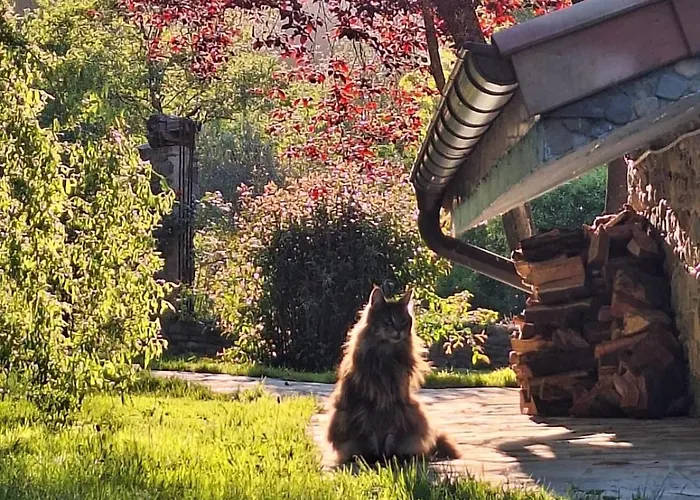 Hugoren Egoitza Apartment Zubialde